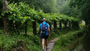 Anam Cara planning Camino Walk in 2024  - Kilkenny people invited to take part