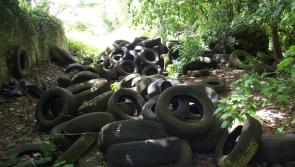 Minister announces €1million  scheme to fund tyre clean up