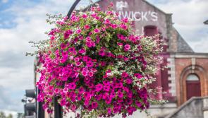 Tidy Towns success for Kilkenny City and other areas