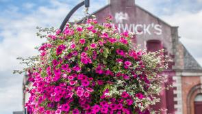 Annual county-wide Kilkenny cleanup day planned