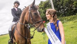 Kilkenny's handsome Pedro set  for 'Nose of Tralee'