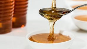 Kilkenny bee keepers asked to make honey entries for Iverk Show