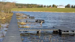 Applications invited from Kilkenny for part of €2 million fund for angling and conservation projects