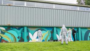 Community street art project in Kilkenny adds a dash of colour to Peace Park