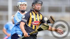 Kilkenny Camogie: Hunger for more success spurred Cats on in All-Ireland final drive