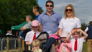 Kilkenny shows receive €5,000 each