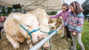 Funding windfall for Kilkenny agricultural shows