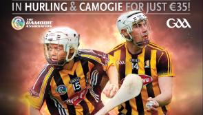 All-Ireland finals: Cats' double bid is just the ticket for supporters! 