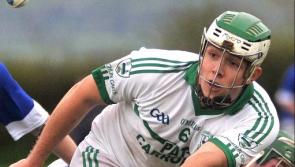 Kilkenny club hurling: Dates, venues and times fixed the big throw-in