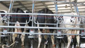 The best in New Zealand agricultural innovation coming to 2017 National Ploughing Championships