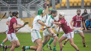 Dicksboro win Kilkenny senior hurling league final