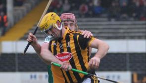 Kilkenny SHC: Shamrocks do the business at their ease