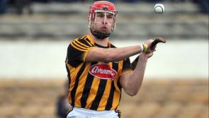 Hurling All-Stars: Kilkenny get two nominations