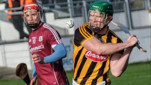 Kilkenny hurlers Murphy and Fennelly on way home from Lebanon after collecting UN service medals