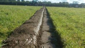 Kilkenny man gets off to great start in ploughing final