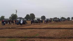 Kilkenny competitors excel at 2017 National Ploughing Championships 