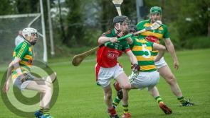 Kilkenny Hurling: Some of the stars who will be hoping to shine in the championship this weekend
