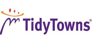 Revealed - Medals and awards for Kilkenny in Tidy Towns