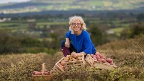 Kilkenny celebrations for National Potato Day