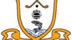 Garden equipment stolen during burglary at Carrigeen GAA Club