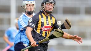 Camogie All-Stars: Nine Kilkenny players up for national honours