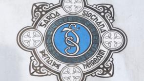 Kilkenny Breaking - Garda warning after car stolen