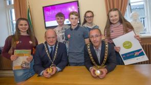 Young people to have their say at upcoming  Kilkenny Comhairle na nÓg AGM