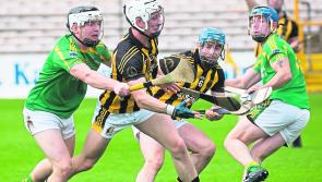Kilkenny IHC: St Lachtain's jump to safety late as Dunnamaggin relegated