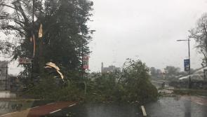 Ophelia: St Francis' bridge among many roads blocked in Kilkenny  - full updated list here