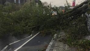 #Ophelia clean-up begins this morning in Kilkenny as part-time firefighters frustrated