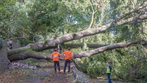 Kilkenny County Council recoups full cost of Storm Ophelia 