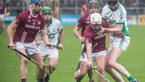 Kilkenny SHC: The Village and Dicksboro show their class as they roar into final
