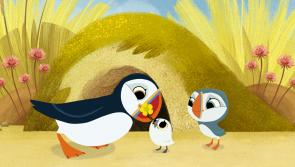 Hit animation series Puffin Rock arrives in China