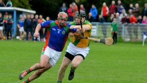 Kilkenny SHC final: Variety is the spice of life