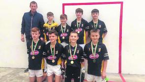 Kilkenny handball: Team of six is No. 1