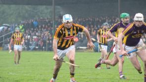 Kilkenny hurling panel: Expect big changes for 2018