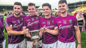 Leinster club hurling: Barry Staunton will be huge loss to St Patrick's
