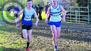 Leinster athletics: Cats take their share of honours