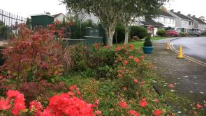 Revealed: Winners of Kilkenny's 'best estate' and 'best private garden' at KKB awards