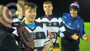 Colleges hurling: St Kieran's College win Leinster league