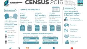 Number of people in Kilkenny who speak Irish daily drops slightly