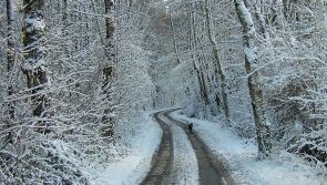 ALERT: Met Éireann forecasts wintry end to 2020 with snow and ice warnings issued 