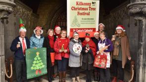 Kilkenny Christmas Tree Festival is launched