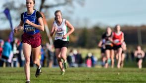 Kilkenny athletics: The Cats roar at All-Irelands
