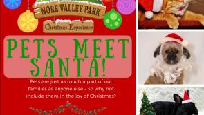 Bring your pets to see Santa at Cillín Hill - and support two great charities