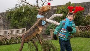 Magical reindeer garden at Rothe House in Kilkenny
