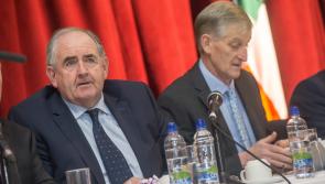 Kilkenny clubs told new Performance Games Development Administrator will be available to them