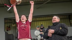 Kilkenny hurling: Clara finish well to take the last title of 2017