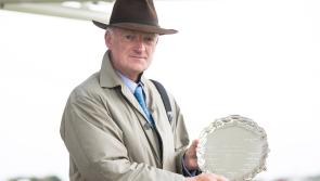 Punchestown: Willie Mullins holds a strong hand among race entries