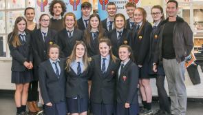 Bright Kilkenny students bring 14 projects to BT Young Scientist finals